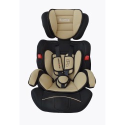 Automobilinė saugos kėdutė BRAITON (9-36 kg)
