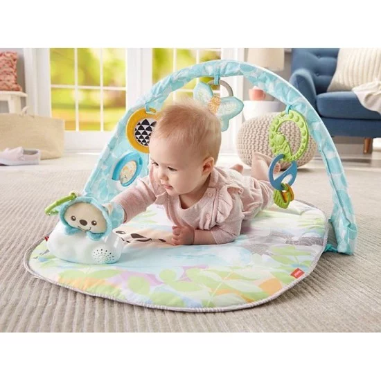 FISHER PRICE Muzikinis žaidimų kilimėlis "Drugelių svajonės" FISHER PRICE Muzikinis žaidimų kilimėlis "Drugelių svajonės"