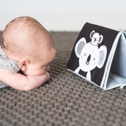 Taf Toys Kūdikio pirmoji lavinamoji knygelė „Tummy – Time“