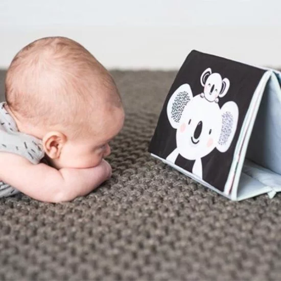 Taf Toys Kūdikio pirmoji lavinamoji knygelė „Tummy – Time“ Taf Toys Kūdikio pirmoji lavinamoji knygelė „Tummy – Time“