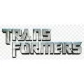 HAS TRANSFORMERS