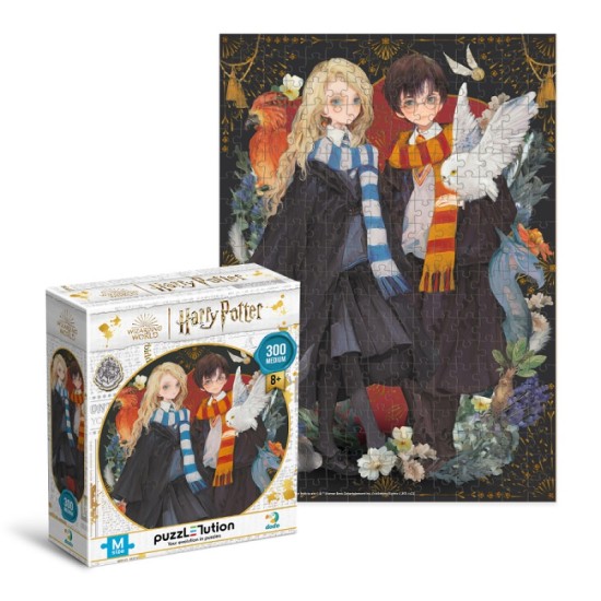 Dodo dėlionė HarryPotter 300det