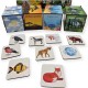 PuzzleOK rūšiuokliai Montessori Magiška gamta 40 el