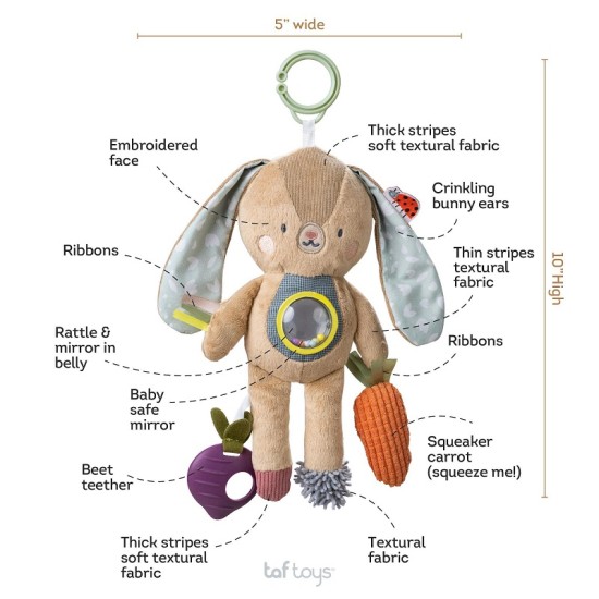 Taf Toys lavinamasis žaislas Jenny