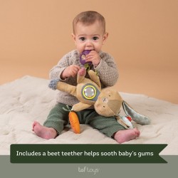 Taf Toys lavinamasis žaislas Jenny