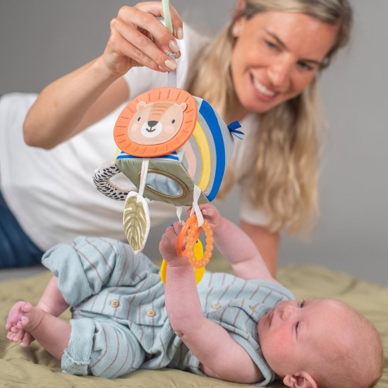 Taf Toys lavinamasis žaislas Savannah