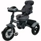 HAMILTON AIR TRIKE triratukas pripučiamais ratais