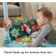 Fisher Price Lavinamasis žaidimų kilimėlis 3 in 1