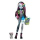 „Monster High“ Frankie Stein lėlės rinkinys su augintiniu ir aksesuarais „Monster High“ Frankie Stein lėlės rinkinys su augintiniu ir aksesuarais