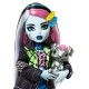 „Monster High“ Frankie Stein lėlės rinkinys su augintiniu ir aksesuarais „Monster High“ Frankie Stein lėlės rinkinys su augintiniu ir aksesuarais