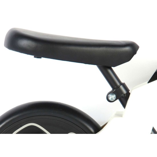 Olandų firmos balansinis dviratukas QPlay Tech