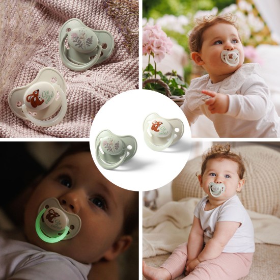 Babyono čiulptukas silikoninis anatominis 6-18m 1670/02