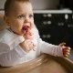 Babyono kieto maisto kramtukas varlė 1543 Babyono kieto maisto kramtukas varlė 1543