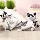 BabyOno minkštas žaislas - migdukas su čiulptuko laikikliu, RACOON ROCKY, 747 BabyOno minkštas žaislas - migdukas su čiulptuko laikikliu, RACOON ROCKY, 747