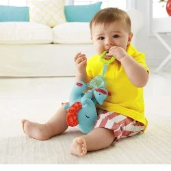 Fisher Price Vibruojantis drambliukas su mamyte