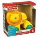 Fisher Price lavinamasis žaislas LIŪTUKAS Fisher Price lavinamasis žaislas LIŪTUKAS